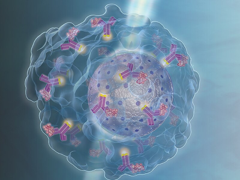 Cell-Based Assays