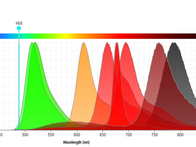 Multicolor Flow Cytometry