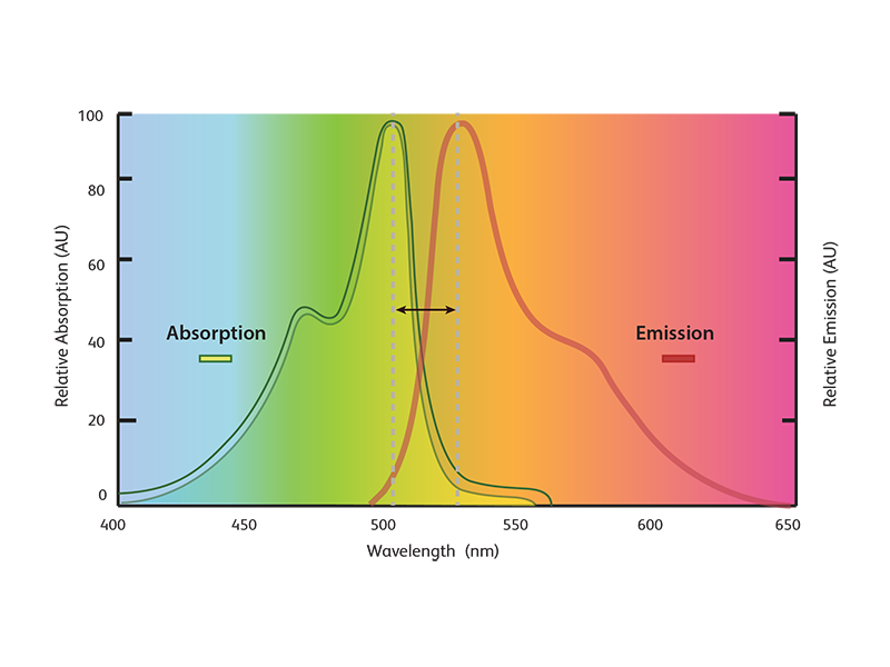 Relative absorption and emission spectra.