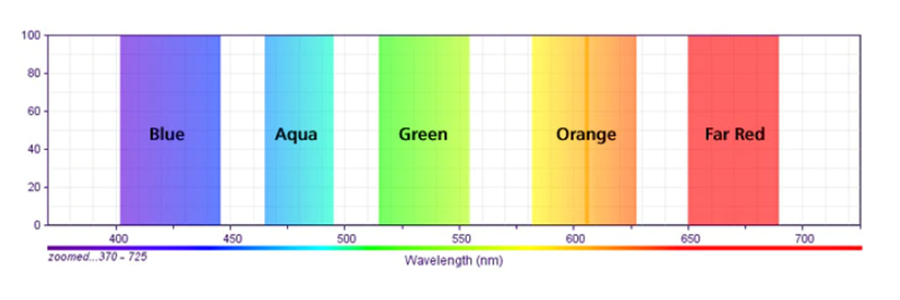Various wavelength results for immunofluorescence.