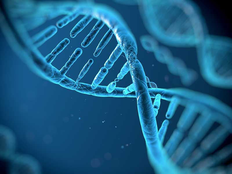 Genomics