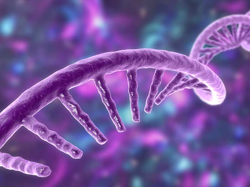 Transcriptomics