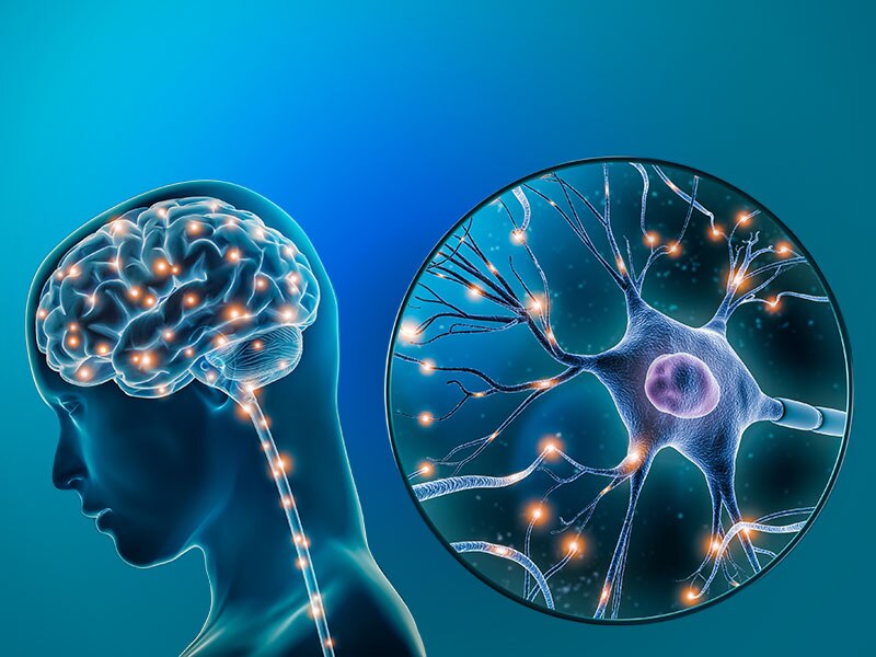 Neuroscience