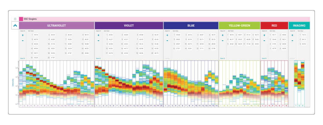 FACSChorus Guided Workflow Part 2