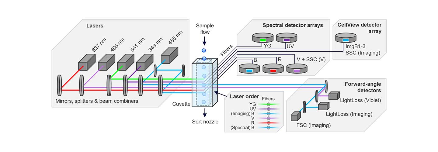 Overview of BD FACSDiscover S8 Optical Layout