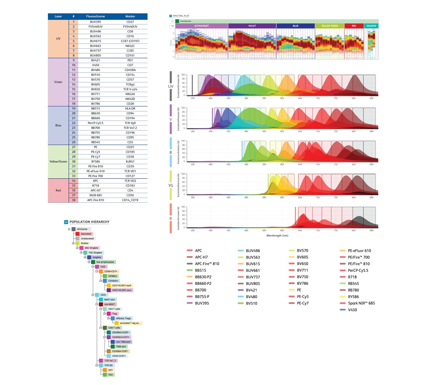 38-color spectral panel characterizes and sorts deep lineages of T cell and NK cell subsets