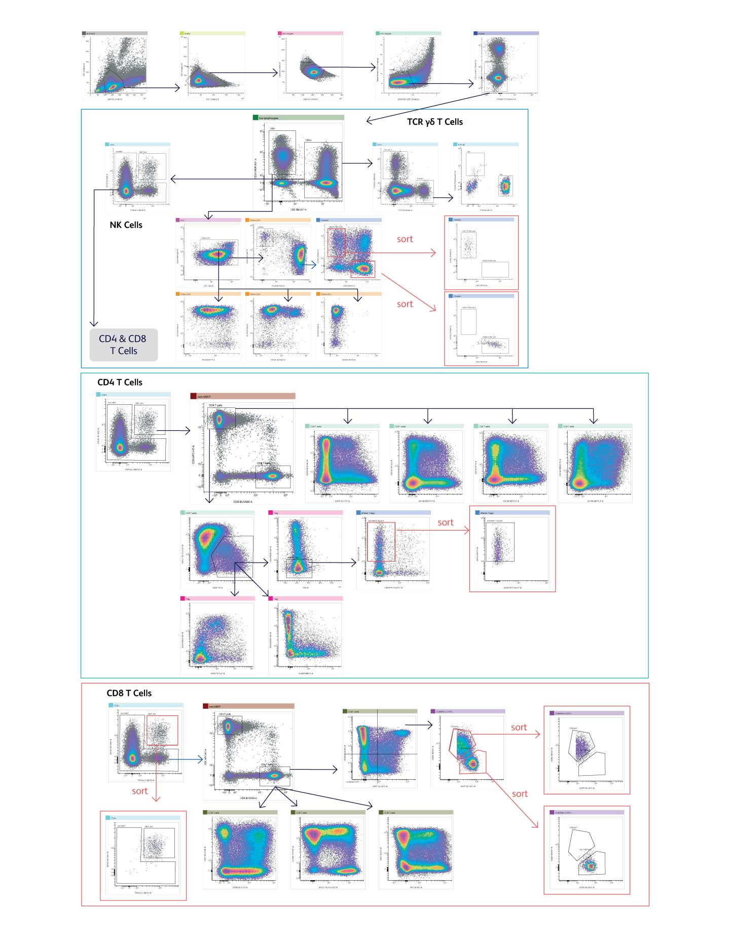38-color spectral panel characterizes and sorts deep lineages of T cell and NK cell subsets