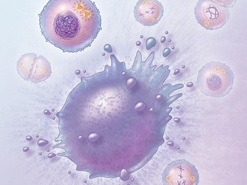 Illustration showing multiple cells and their constituent parts.