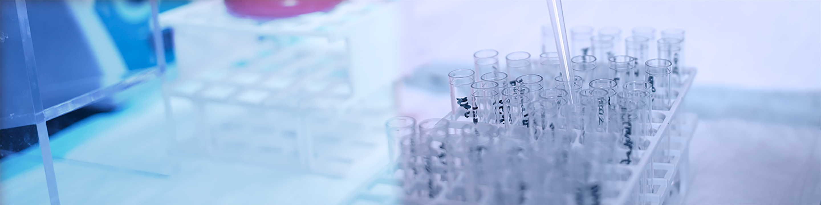 A series of test tubes in a laboratory.