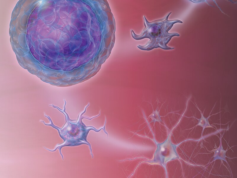 Illustration showing multiplestem cells and their constituent parts.