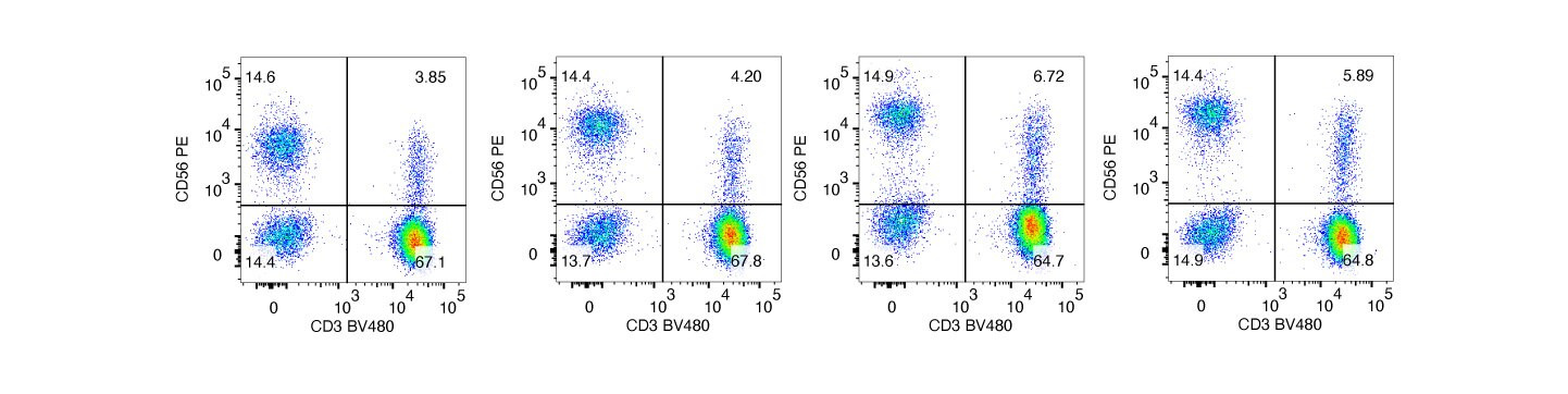 CD56-Fresh-WB