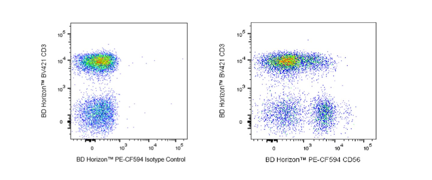 CD56-Staining-In-Intracellular-Workflows