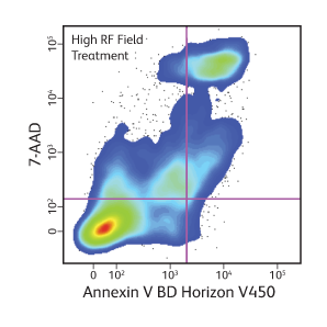 Result of high RF field treatment Annexin V BD Horizon™ V450.