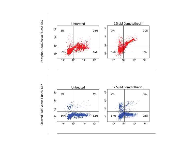 Data sets comparing cleaved PARP Alexa®Fluor and PhosphoH2AX AlexaFluor®647 results.