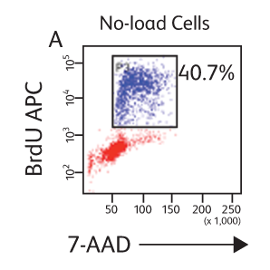 Data showing BRDU APC and 7-ADD on no-load cells.