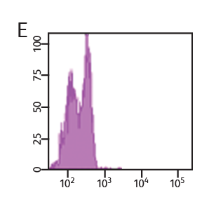 Data showing BRDU APC and 7-ADD with VPD450 on DMSO control group.