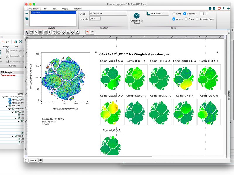 Screenshot of FlowJo™ interface on a computer.