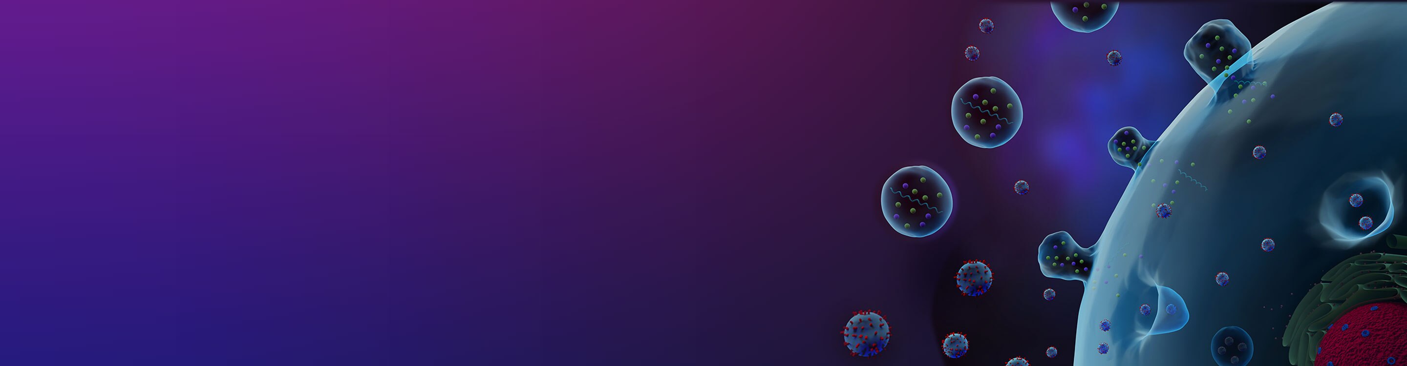 Extracellular Vesicle Banner
