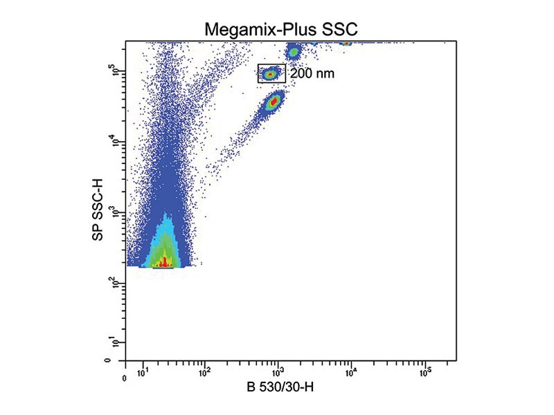 Megamix-Plus-SSC
