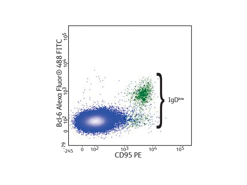 Data sets showing CD95 PE and Bcl-6 AlexaFluor®488 FITC