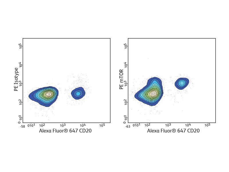 Charts detailing PE Isotope and PE mTOR results for Alexa Fluor®647 CD20.