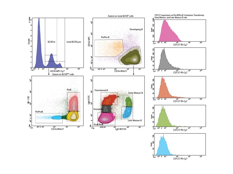 Data sets showing analysis of bone marrow b-cells.