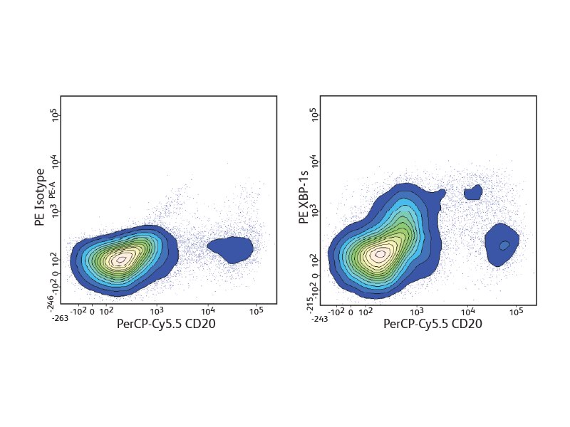Data showing PerCP-Cy5.5 CD 20 results.