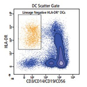 Data for DC Scatter Gate for CD3/CD14/CD19/CD56
