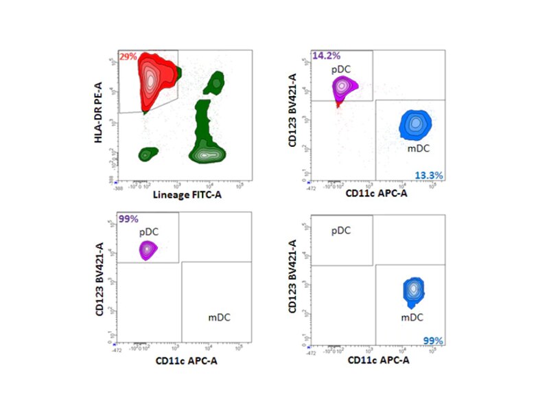 Data set showing CD11c APC-A results.