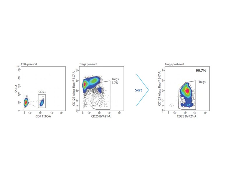 Diagram showing Tregs sorting results for CD4 and CD25