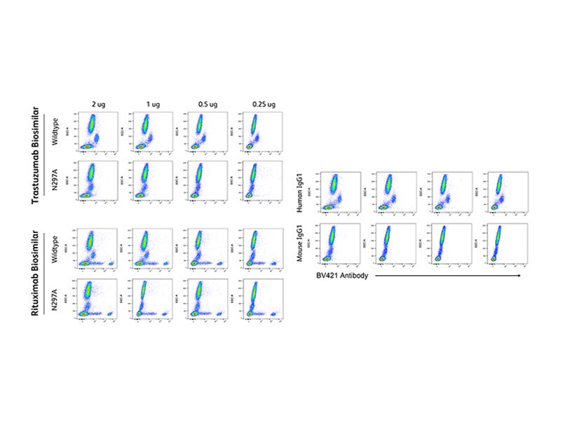 Fc-mutant N297A biosimilars demonstrate improved staining performance compared to wild-type counterparts. 