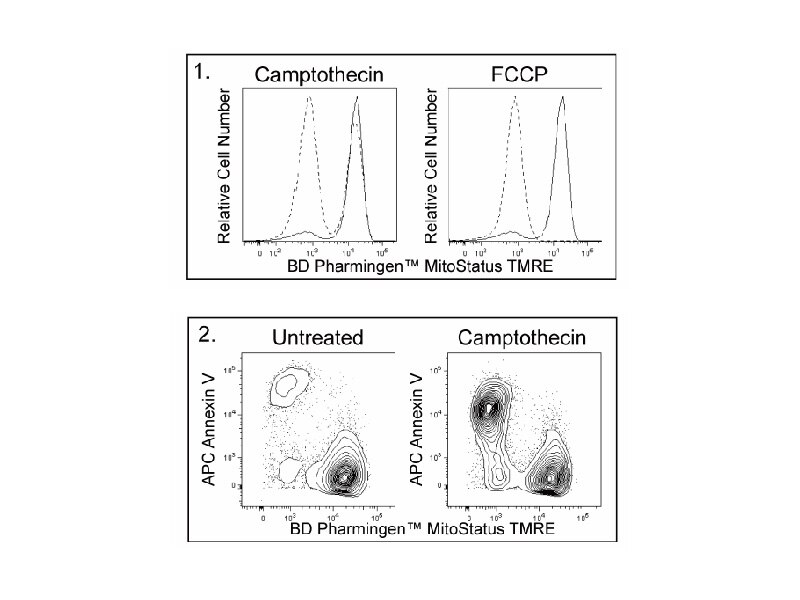 Datasets showing BD Pharmingen™ MitoStatus results.