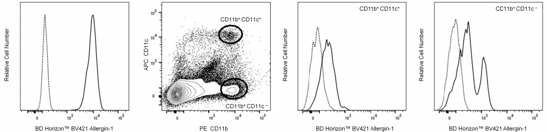 Datasets showing various results for BD Horizon™ BV421 Allergin-1 and PE CD11b.