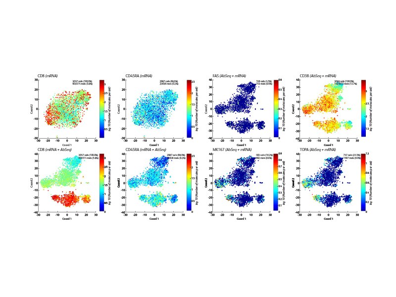 Various data for tests involving CAR CD19 T cells.