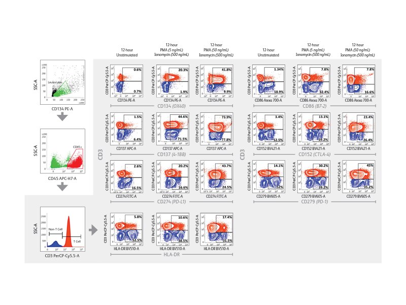 Time-based results for various tests involving CD3, CD45, and CD134 tests.