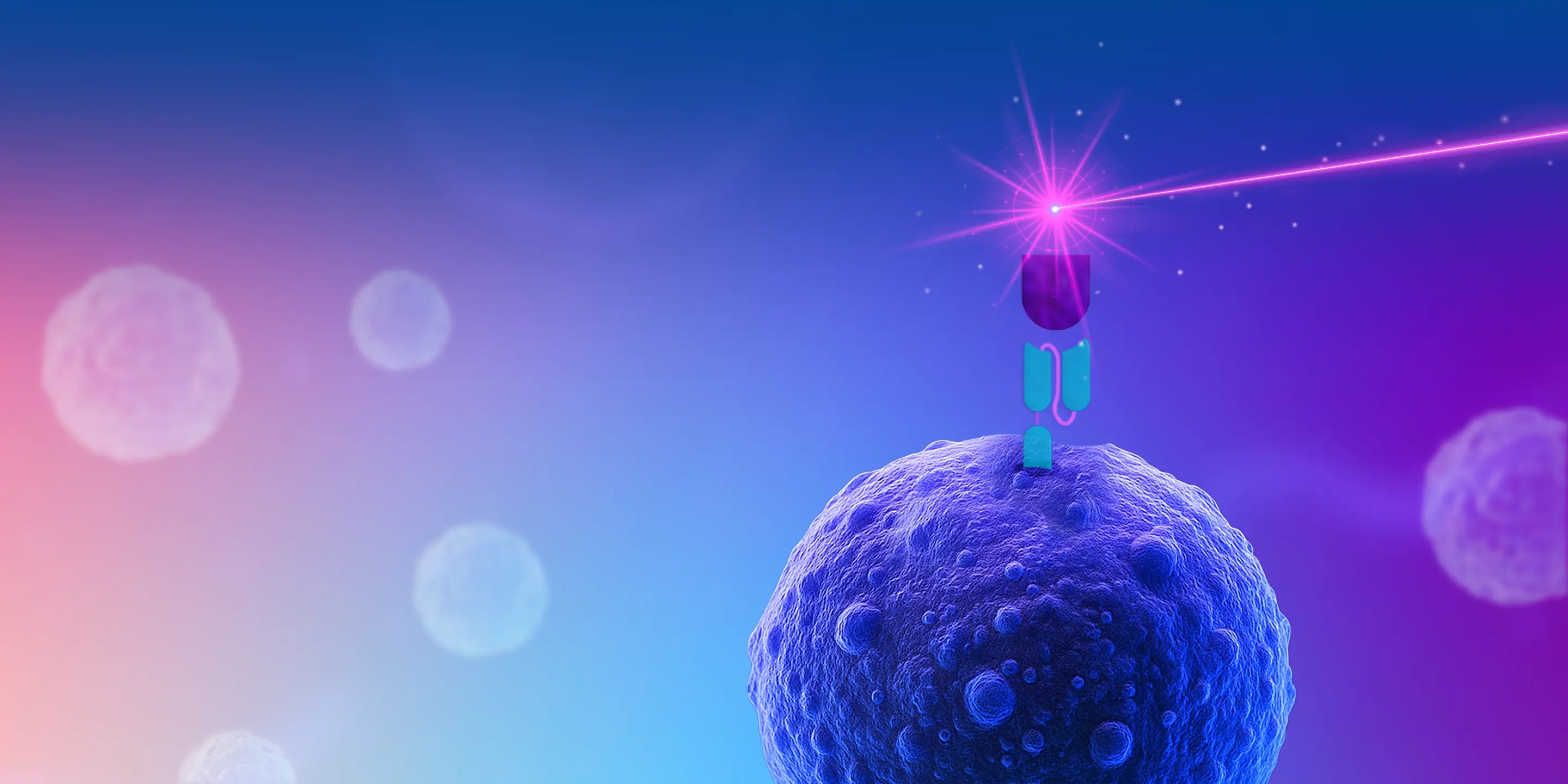 BD CAR Detection Reagents
