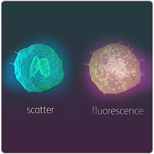 BD CellView™ Image Technology