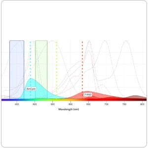 Spectrum Viewer