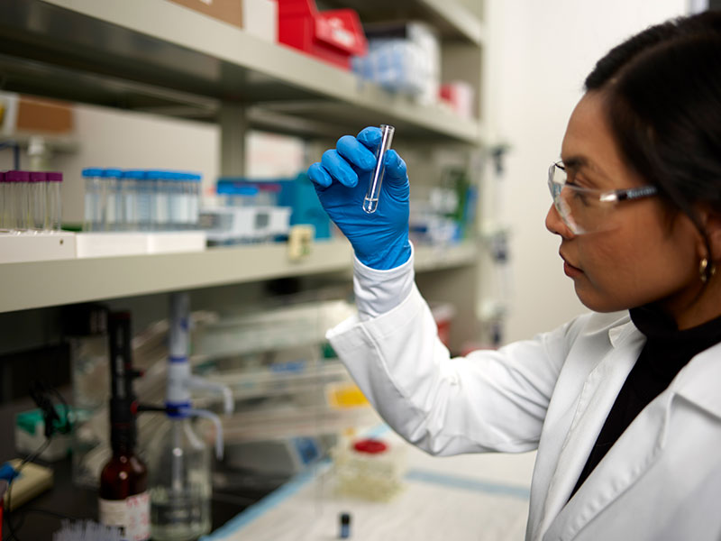Research Reagents
