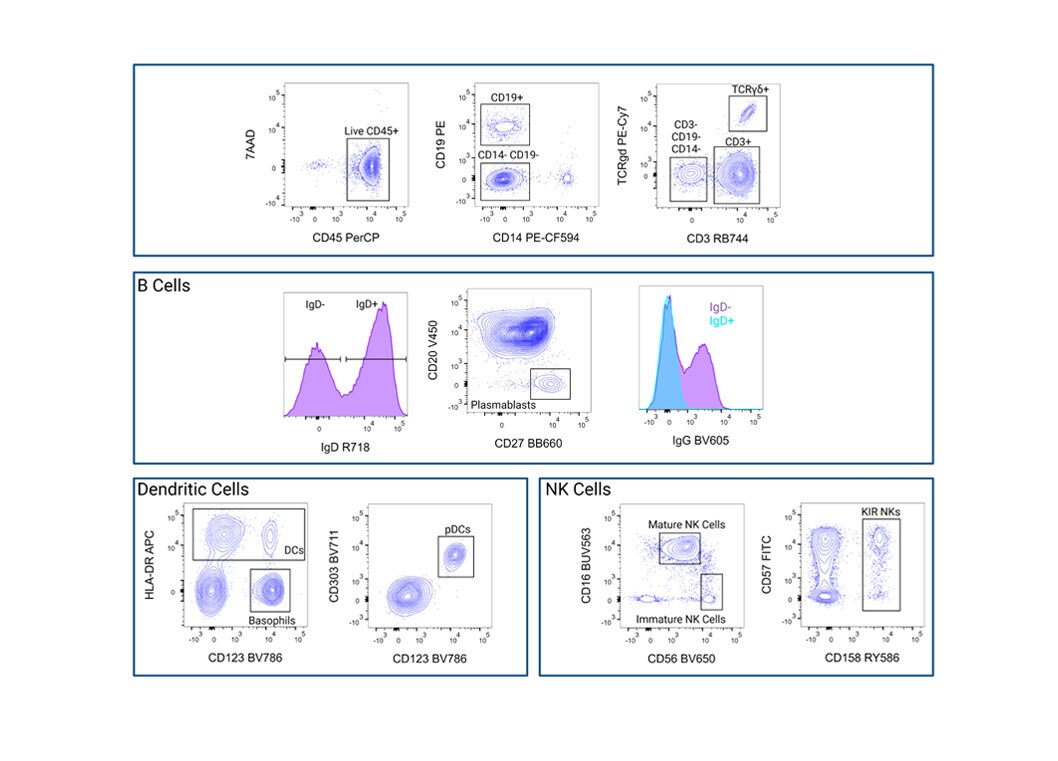 32-Color Broad Immunophynotyping Panel Human Healthy PBMC