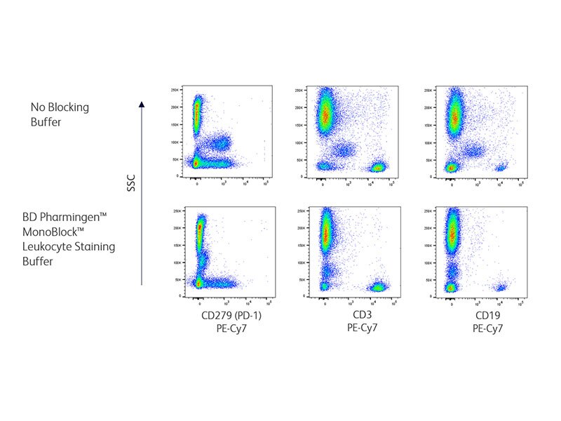 Human Peripheral Blood Leukocytes Analysis