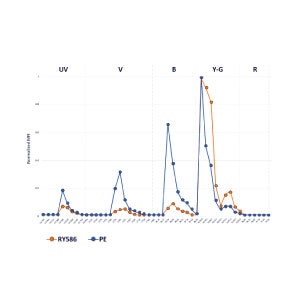 RY586 and PE mission profile