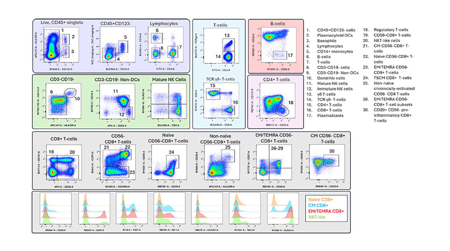 BD Horizon Real Dyes in a 30-color spectral human immunophenotyping panel