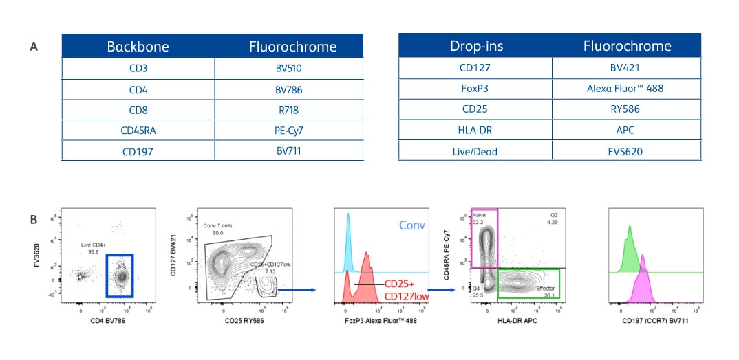 Identification of FoxP3+ Treg subsets 