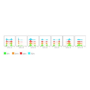 Mouse-Spleen-Consistent-Key-Protein-Marker-Expresseion