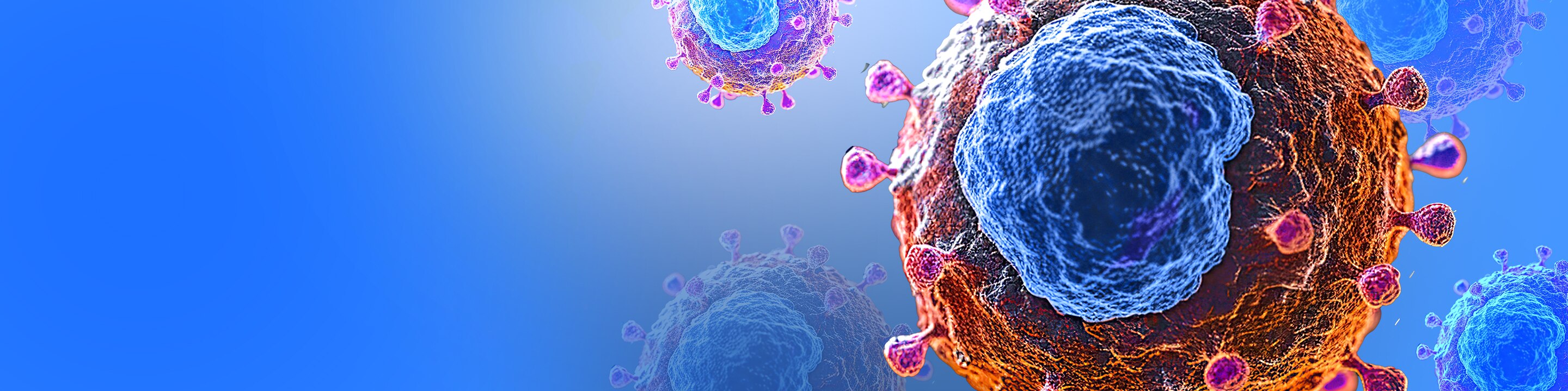 B-cell Protein Panel:  The power of protein plus RNA without the high cost and complexity