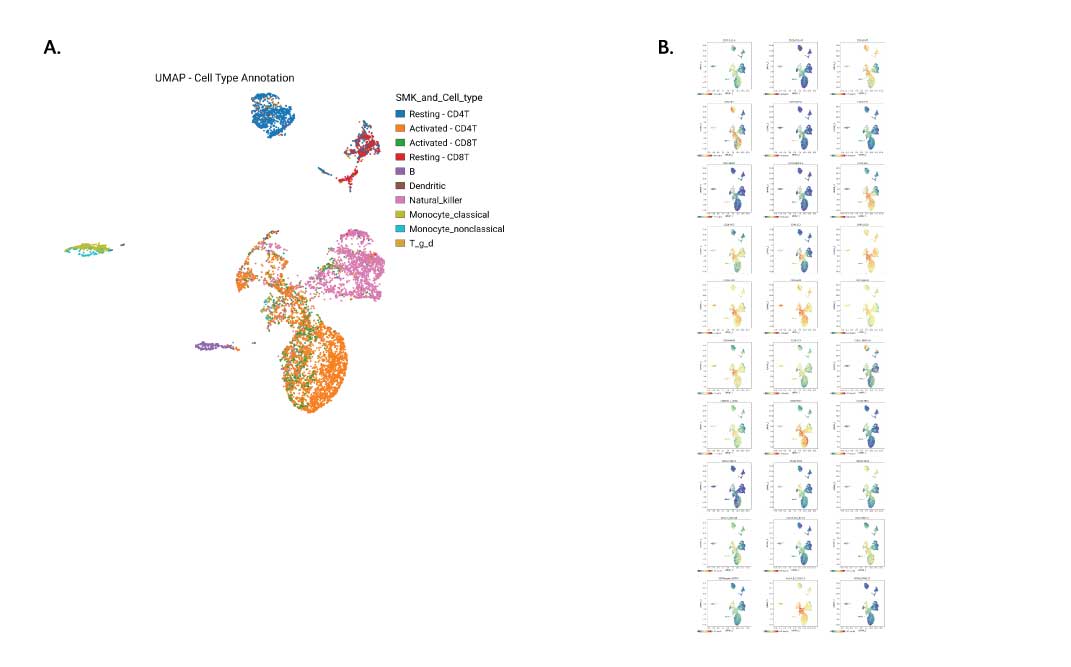 T-Cell, B-Cell and Tumor Marker Detection