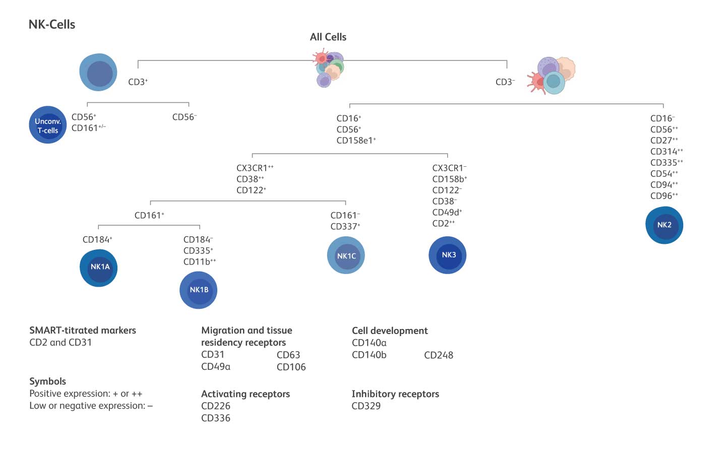 NK Cell Tree