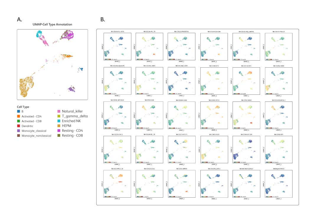 Reliable performance—detect 30 critical NK cell-centric protein markers in your samples with confidence 