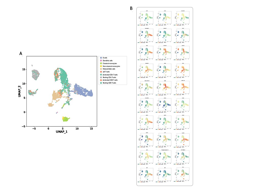 30 Antibody Oligos Reliable Individual Target Detection